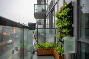 reaproveitamento de água em horta sustentável com irrigação ecológica, economia de recursos